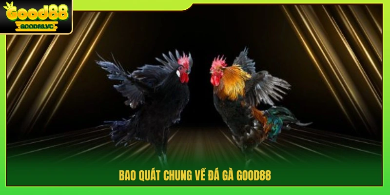 Giới thiệu hệ thống đá gà Good88 