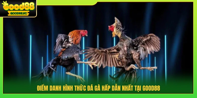 Hình thức đá gà được ưa chuộng