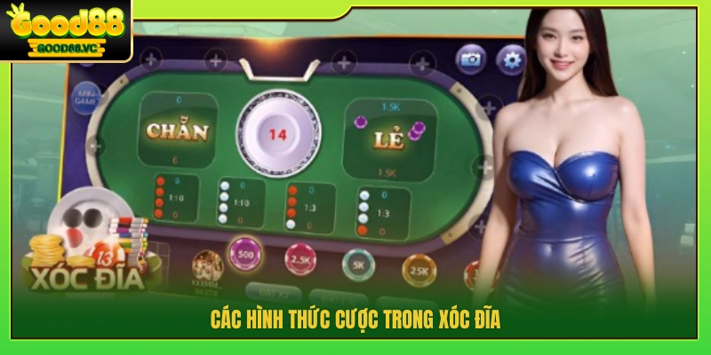 Những loại cược xóc đĩa phổ biến